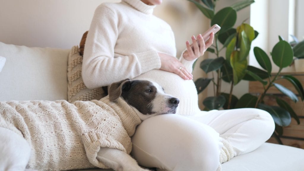 pregnant woman and dog