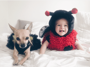 ladybug baby halloween costume